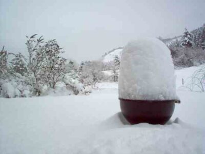 Top 5 Things to Consider Before Moving to the Country Image